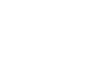 Logo de las Bodegas BORSAO, letras en color blanco sobre fondo transparente