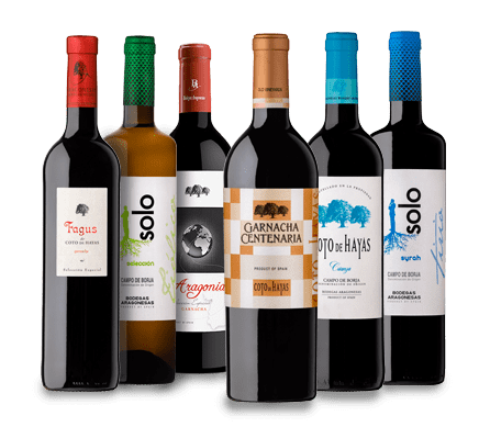 Conjunto de vinos agrupados de diferentes variedades, pertenecientes a BODEGAS ARAGONESAS
