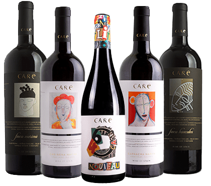 Conjunto de vinos de diferentes variedades de Bodegas Care