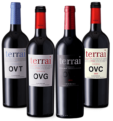 Bodegón conjunto de vinos Terrai de Bodegas Covinca