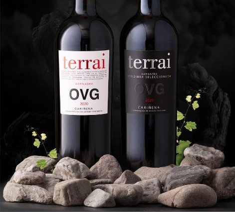 Botellas Terrai, de Bodegas Covinca, ubicadas entre rocas